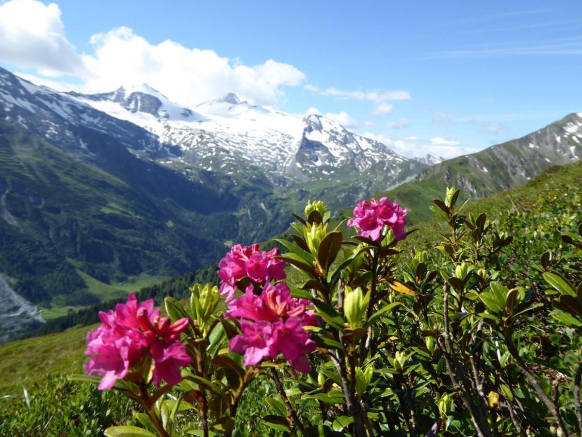 Ferienwohnung Alpenheim Tux Exteriér fotografie